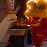 Հետևի աջ ծալովի սեղանիկ և քարտեզի գրպան