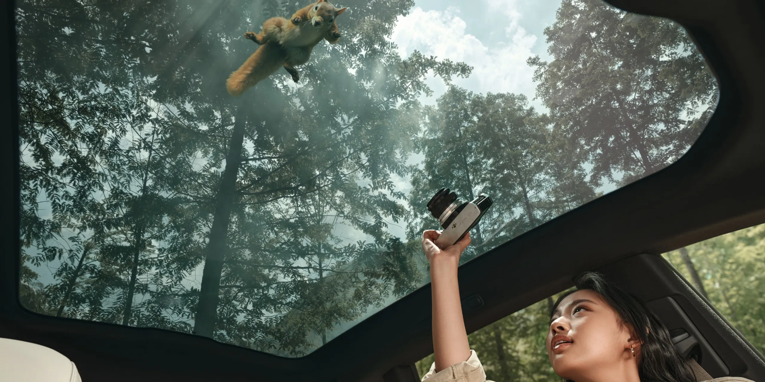 Acoustic Windows With IR PVB