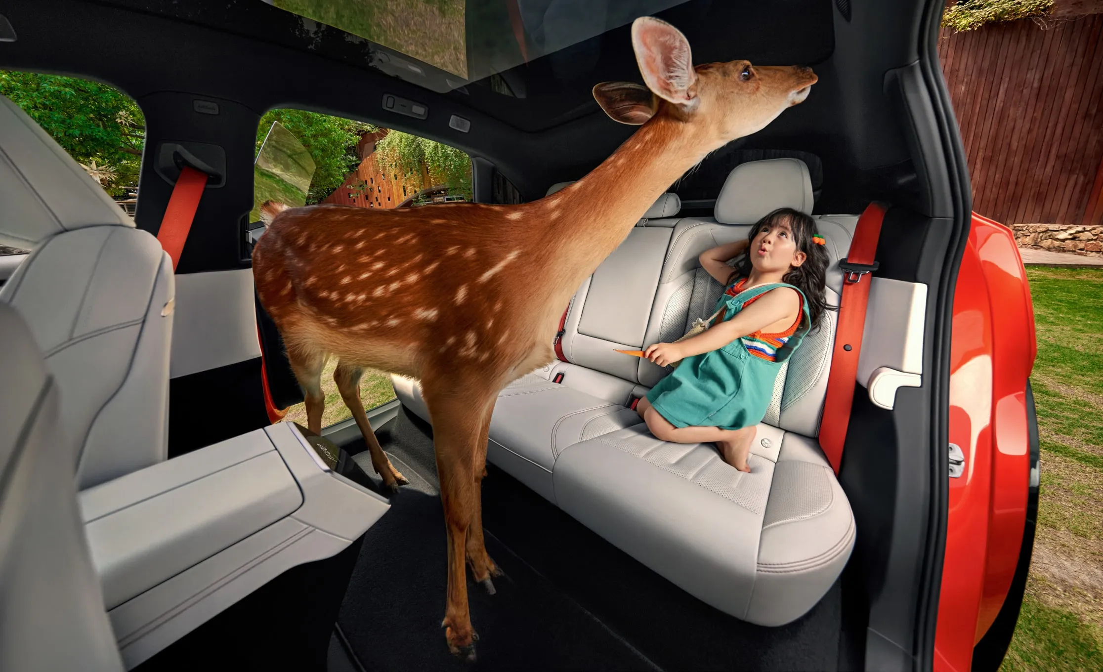 Extra-large cabin space