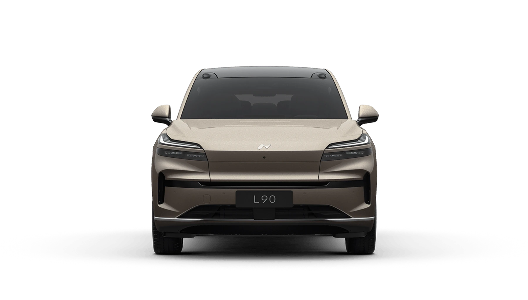 21" Multi-Spoke Wheels