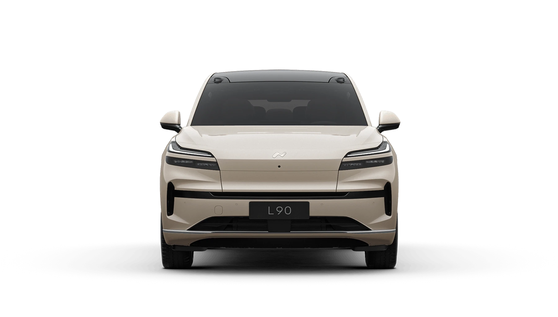 21" Multi-Spoke Wheels